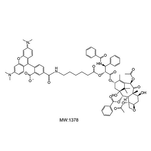 5-TAMRA-紫杉醇 5-羧基四甲基罗丹明-紫杉醇 5-TAMRA-Paclitaxel 的光学性能