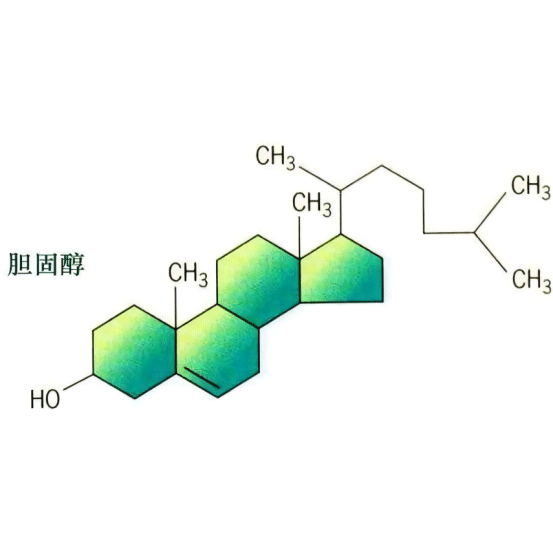 DOPE-Cholesterol Liposome DOPE+胆固醇 脂质体（10%胆固醇）的制备方法