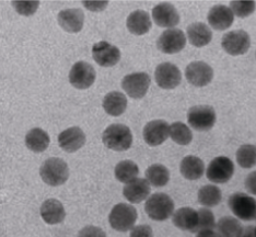 红细胞膜Erythrocytemembrane的优点