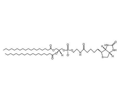 DSPE-Biotin在蛋白质标记时的结合方式