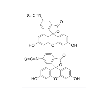 异硫氰酸荧光素-血红蛋白   FITC-Hemoglobin的优缺点