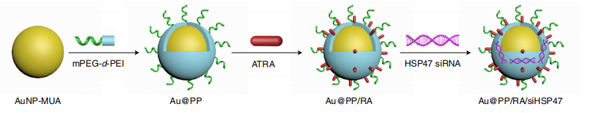 NH2-PEG-DSPE