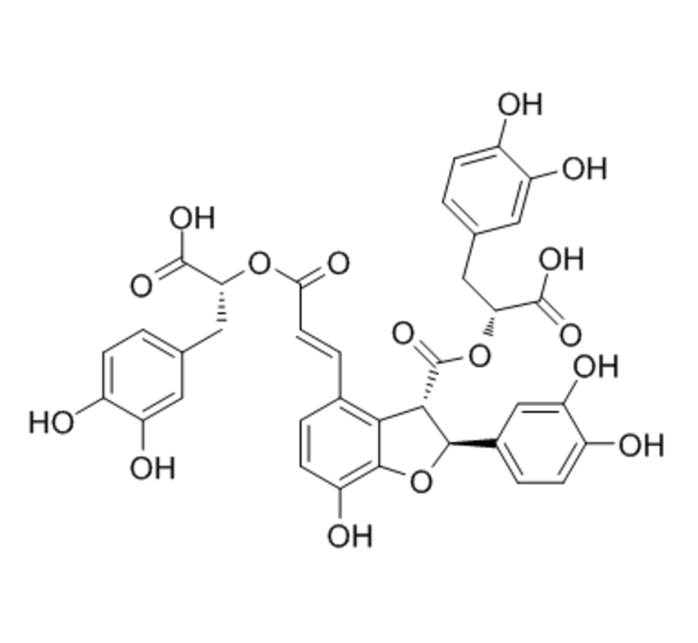 丹酚酸B-ALA/CY5.5磷脂纳米粒   SalB-ALA/CY5.5-NP的优点