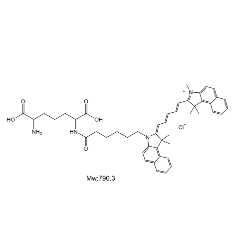 Cy5.5-DAP,菁染料Cy5.5-2,6-二氨基庚二酸