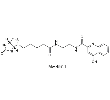 Bio-Kynurenic acid,生物素-4-羟基喹啉-2-羧酸