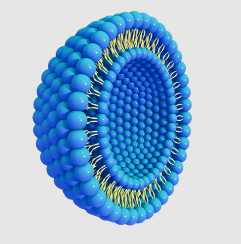 脂质体包多肽100nm  Liposome Encapsulated Peptide, 100nm的应用