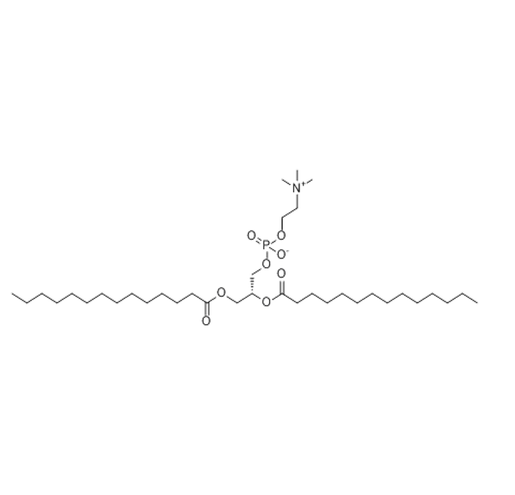 L-α-磷脂酰胆碱  L-α-Phosphatidylcholine  L-α-卵磷脂的特性