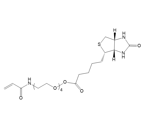 Acrylamide-PEG4-BIOTIN,丙烯酰胺-四聚乙二醇-生物素