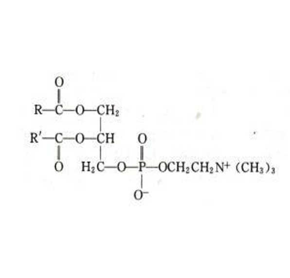PC磷脂酰胆碱  Phosphatidyl cholines的相关应用