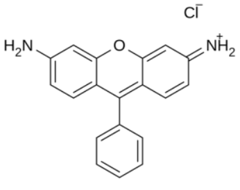 PEI-罗丹明，PEI分子量25k的科研应用