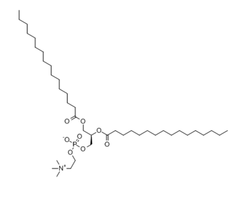 DPPC包分子抑制剂（CL-82198） 100nm的优缺点