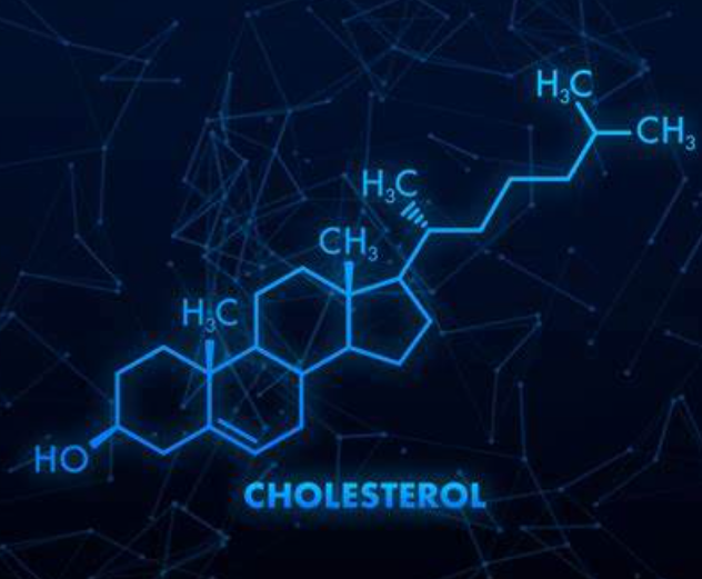 Cholesterol(胆固醇)的产品保存指南