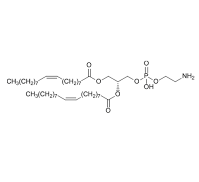 CAS：4004-05-1    二油酰基磷脂酰乙醇胺的应用