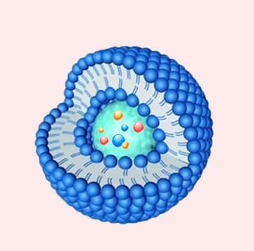 CSPGAKVRC修饰脂质体负载mRNA的优缺点