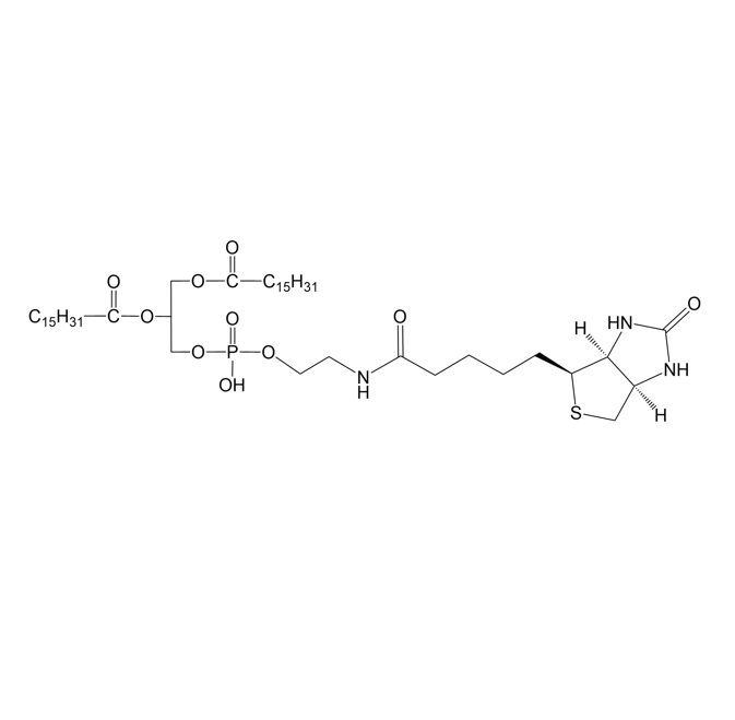 DPPE-Biotin,二棕榈酰磷脂酰乙醇胺-生物素