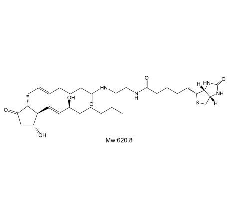 Biotin-PGE2,生物素-前列腺素 E2
