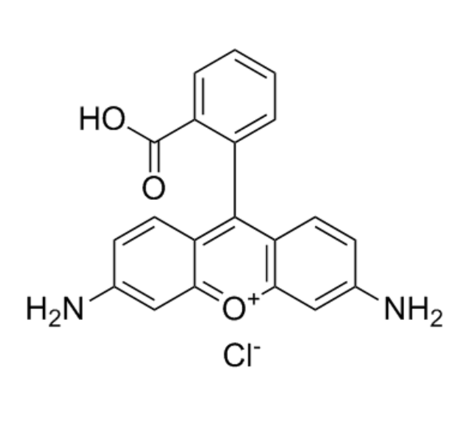 清除响应OXCBD/蛋白(罗丹明P311)@Lipidosome-R8的优缺点