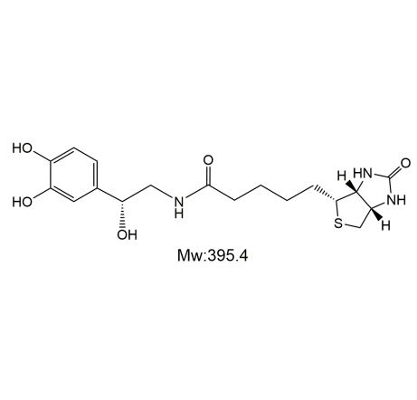 Bio-Norepinephrine,生物素-去甲肾上腺素