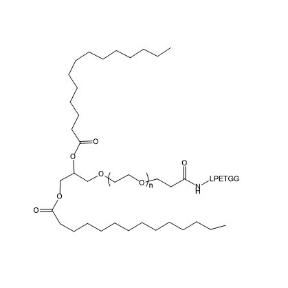 DMG-PEG-LPETGG,二肉豆蔻酰甘油-聚乙二醇-LPETGG肽