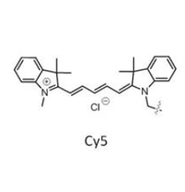 CY5标记的空白脂质体（100nm） CY5-Labeled Empty Liposomes的性质和特点