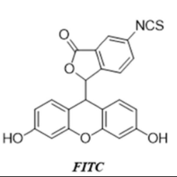 FITC标记空白脂质体,500nm左右 10mg/ml的外观及溶解度