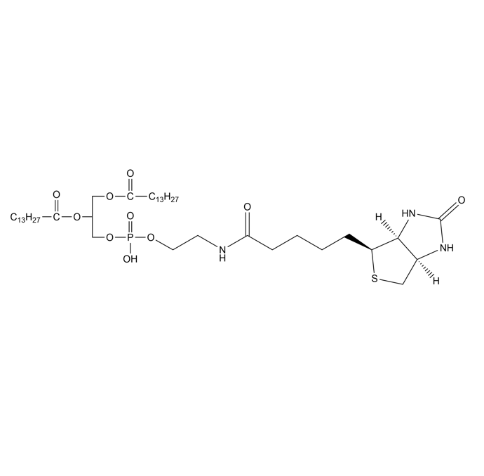 DMPE-Biotin,1,2-十四酰基磷脂酰乙醇胺-生物素