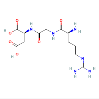 RGD肽如何与细胞表面的整合素结合  