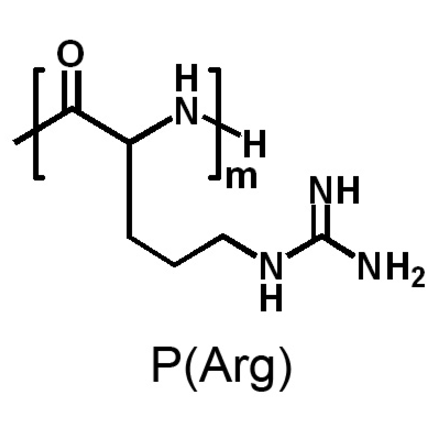 聚己内酯2000-8聚精氨酸 PCL2000-8聚精氨酸的性质及特点