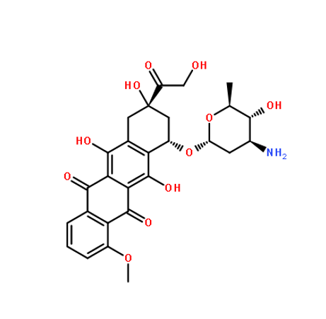表阿霉素@LNP-A7RD/酪氨酸的潜在机制