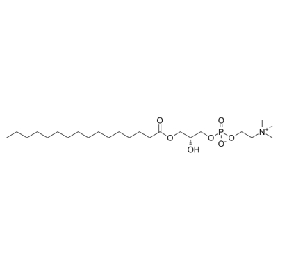 P-LysoPC 1-十六酰-sn-丙三醇-磷酸胆碱 CAS：17364-16-8 棕榈酰溶血卵磷脂的膜蛋白的温和提取