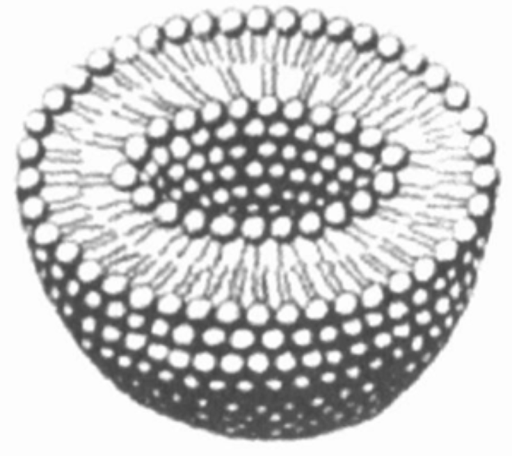 空白脂质体200nm   200 纳米空白脂质微粒的特性