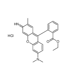 Enrofloxacin-Rhodamine 恩诺沙星-罗丹明的制备方法