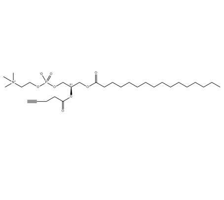 APC 1-棕榈酰基-2-炔丙基乙酰磷脂酰胆碱 CAS：1353897-91-2的生物正交反应活性