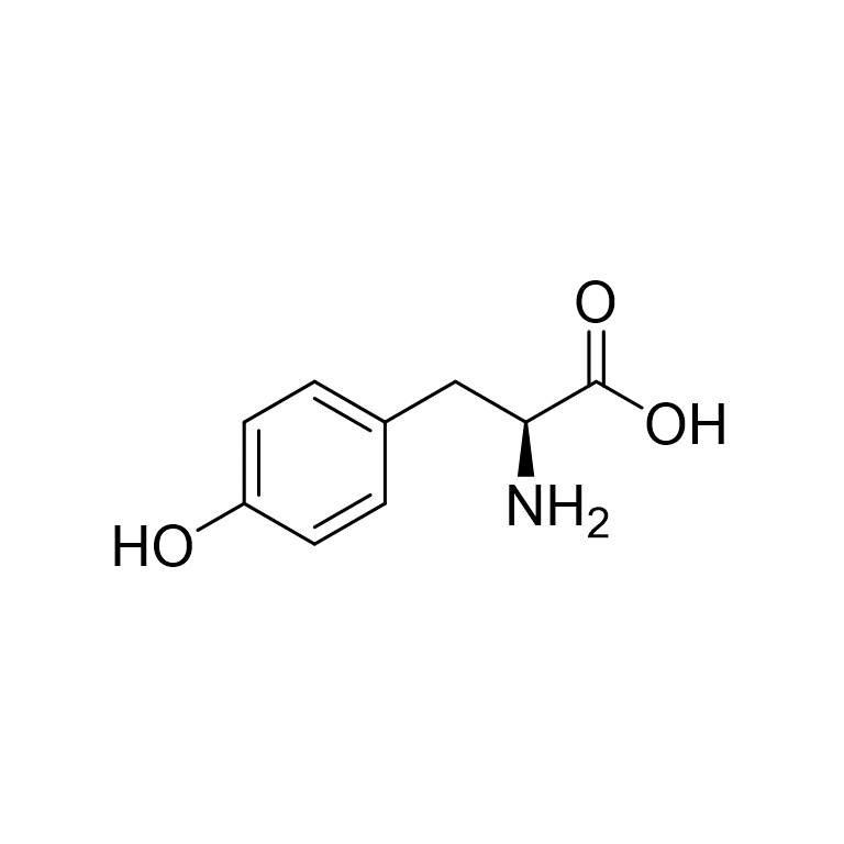 紫杉醇/表阿霉素@LNP/酪氨酸的LNP与酪氨酸的特性