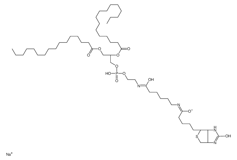 DPPE-cap-Biotine（NA） CAS：384835-52-3 DPPE-cap-Biotine（钠盐）药物递送与智能响应系统