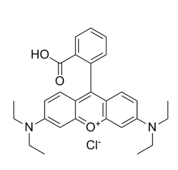 Enrofloxacin-Rhodamine 恩诺沙星-罗丹明的优缺点