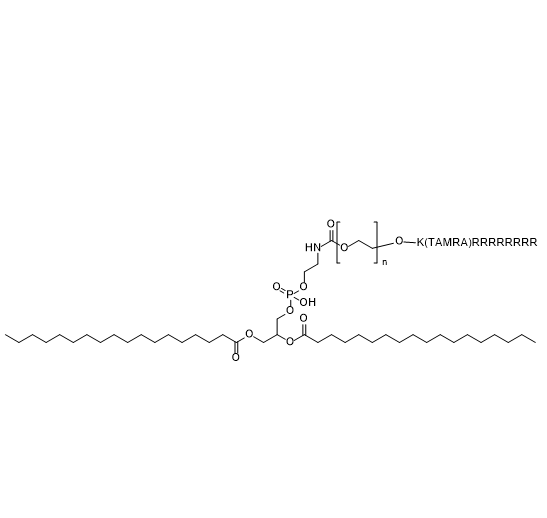 DSPE-PEG-K(TAMRA)RRRRRRRR,二硬脂酰基磷脂酰乙醇胺-聚乙二醇-赖氨酸（四甲基罗丹明标记）-八聚精氨酸