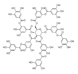 从植物中提取单宁酸的方法简介