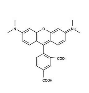 新型四甲基罗丹明衍生物的合成及光学性质研究