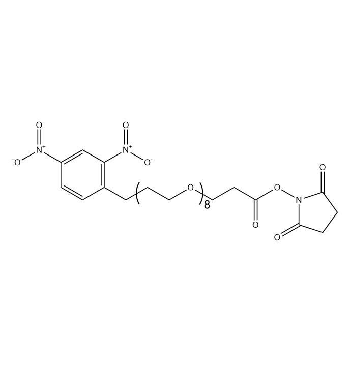 DNP-PEG8-NHS,2,4-二硝基苯-八聚乙二醇-活性酯