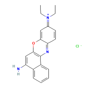 尼罗蓝荧光标记聚苯乙烯微球的性质  