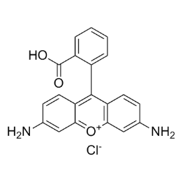 罗丹明修饰纤维素纳米晶体荧光强度的影响因素 