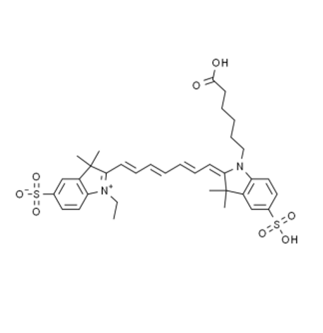 水溶性菁染料 CY7 标记 HJB  水溶CY7-HJB的特性与应用
