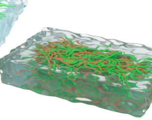 提高外泌体水凝胶稳定性和生物相容性的方法——表面修饰
