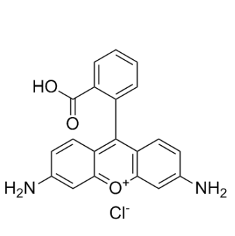 Enrofloxacin-Rhodamine 恩诺沙星-罗丹明的科研应用