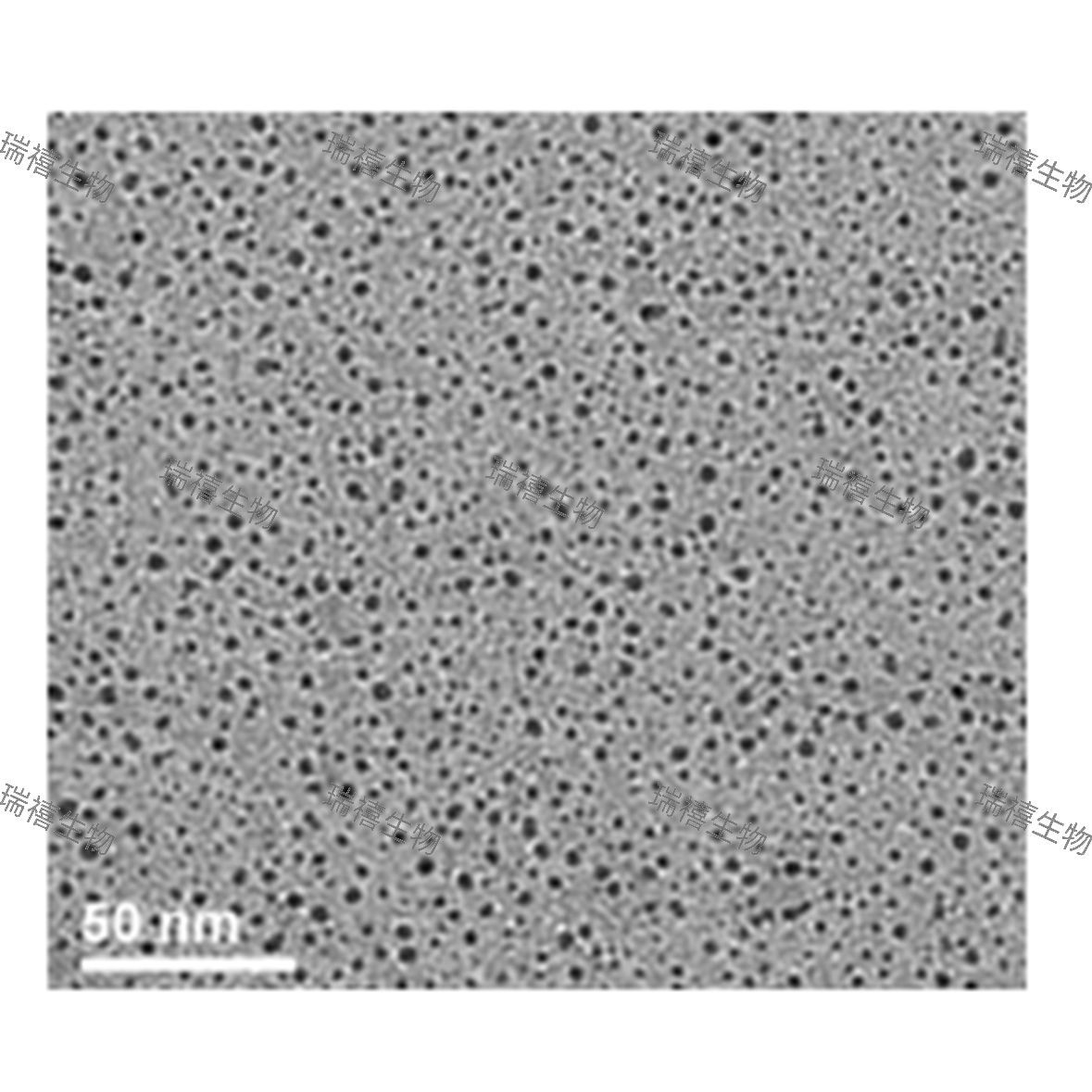 碳量子点发光性能和光稳定性研究