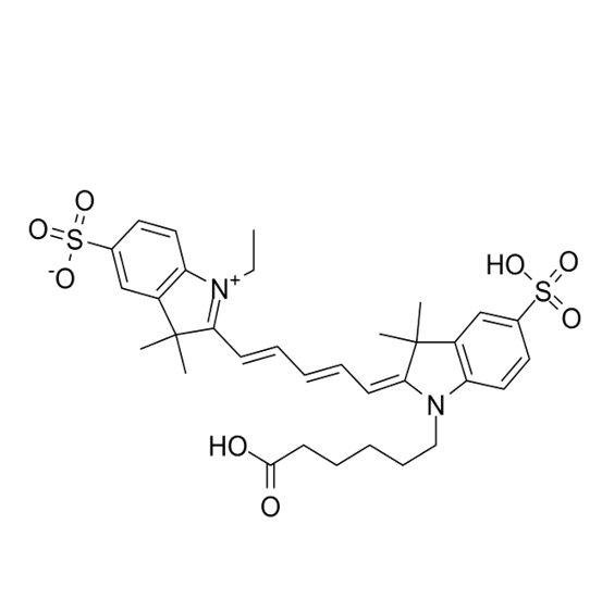 CY5-Rapamycin  CY5-雷帕霉素在生物医学成像中的应用