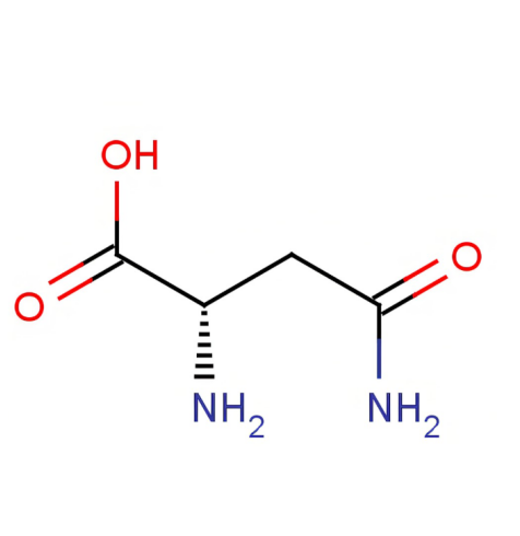 Asparagine-Biotin