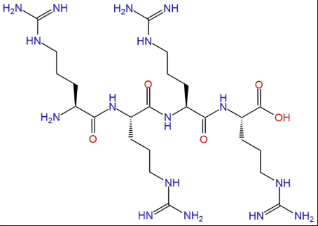 Poly-Arg（30k） 聚精氨酸（分子量 30k）的制备方法