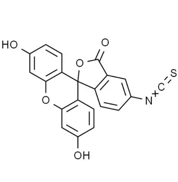 FITC-Chitosan oligosaccharide（2k）异硫氰酸荧光素标记壳寡糖（分子量 2000）的制备方法